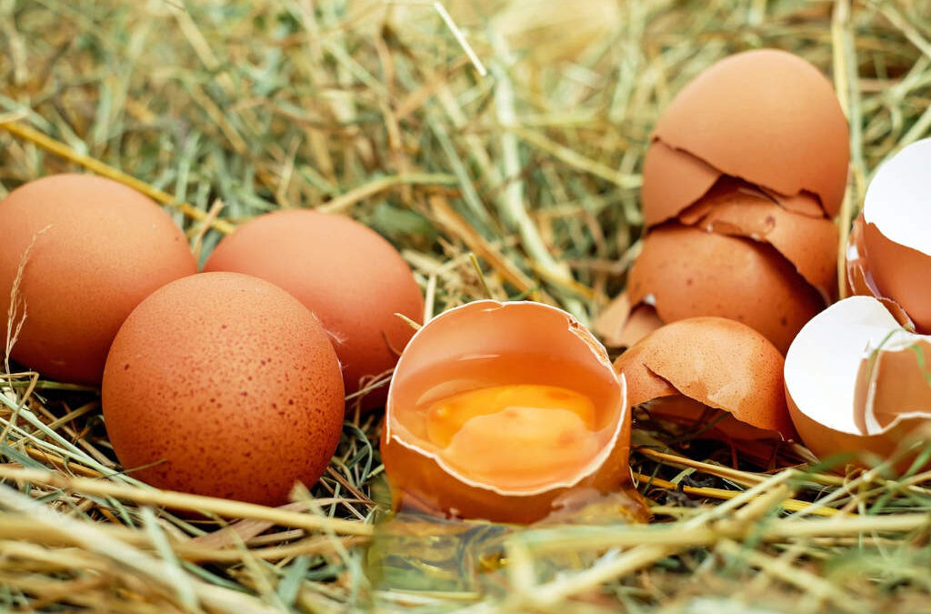 Vaječné skořápky nevyhazujte